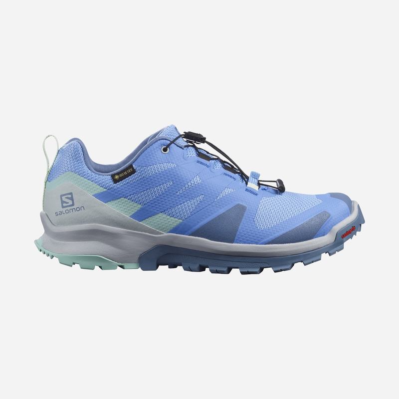 Salomon Singapore Womens Trail Running Shoes - XA ROGG GTX W Blue | 46805-KHEN